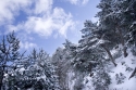 IMG_0726_k.jpg