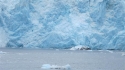 alaska-haki-engin_039.jpg