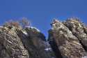 _MG_0074_yryrz_d.jpg