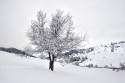 x_MG_0015_yryrz.jpg