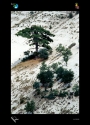 054_copy.jpg
