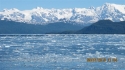 alaska-haki-engin_008.jpg