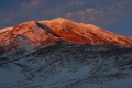 DSC_2813.jpg