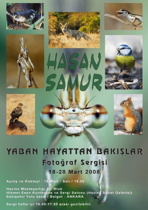 hasan_samur_sergi.jpg